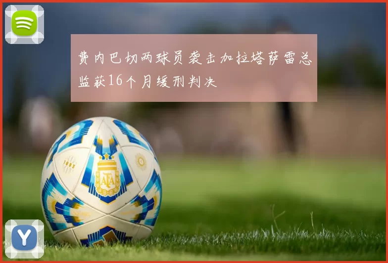 费内巴切两球员袭击加拉塔萨雷总监获16个月缓刑判决